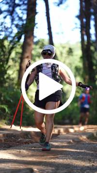 BIB:  <button type="button" onclick="openModal(26788005)" class="btn btn-primary btn-sm float-right" data-toggle="modal" data-target=".modal-high-quality">
                <i class="fa fa-download"></i> Download
                </button>